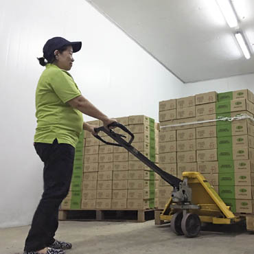 Coldroom storage for shipping